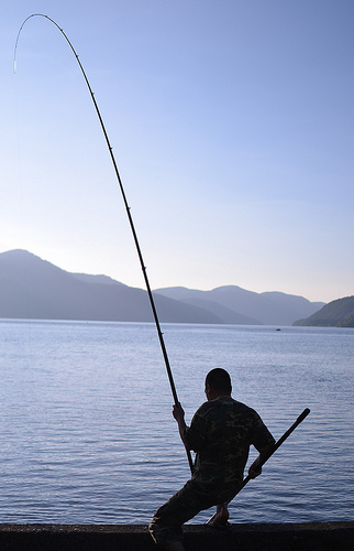 錦魚の古代林釣りスポット 釣り方は ステキなお魚 錦魚 モンハンクロス Mhx 攻略 Kasabuta Endless