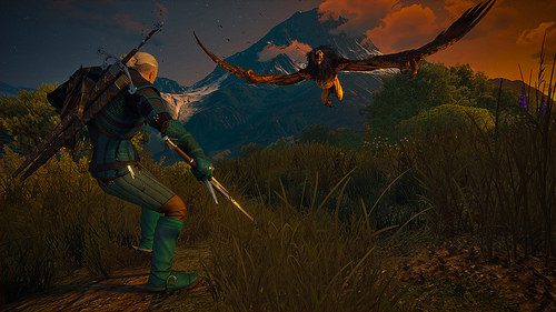 witcher 3 overkill trophy